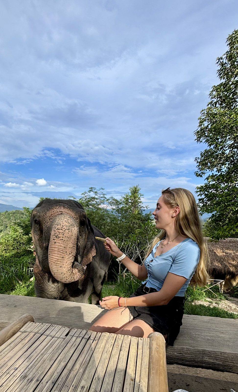 Rencontre avec un éléphant