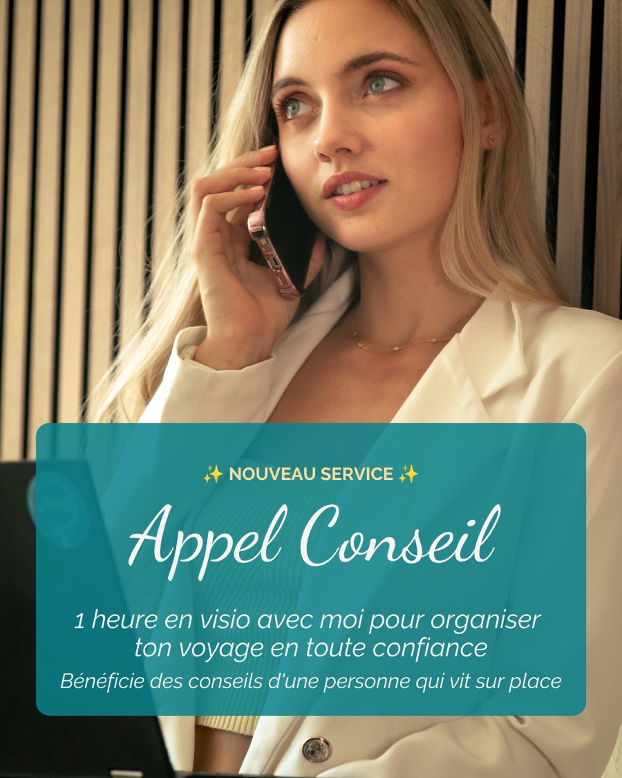 Appel conseil — une heure en visio pour organiser ton voyage en toute confiance